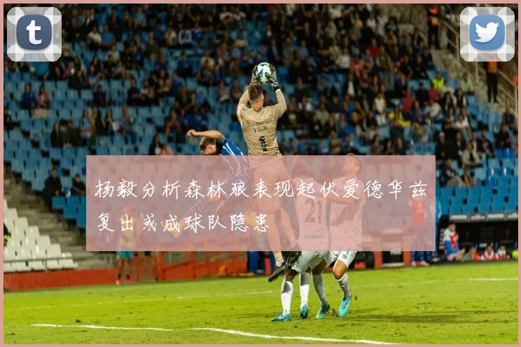 杨毅分析森林狼表现起伏爱德华兹复出或成球队隐患