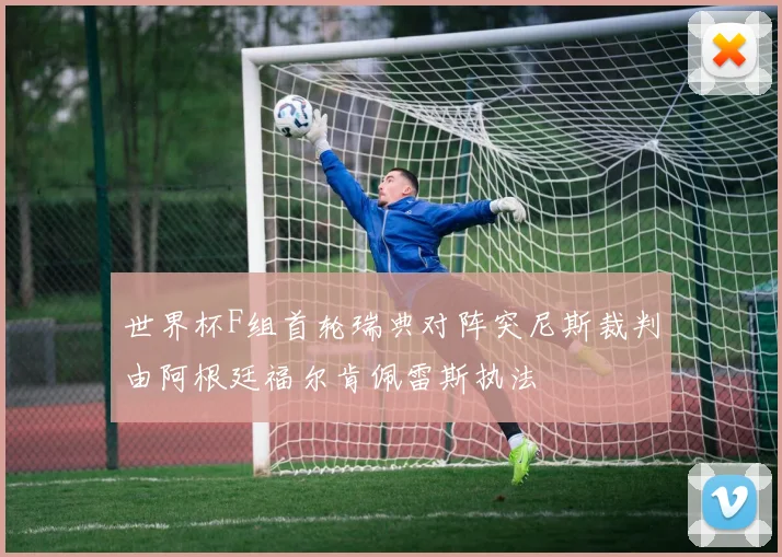 世界杯F组首轮瑞典对阵突尼斯裁判由阿根廷福尔肯佩雷斯执法